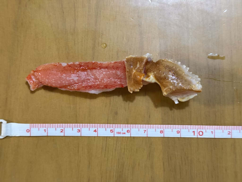 ズワイガニ爪下の実寸画像