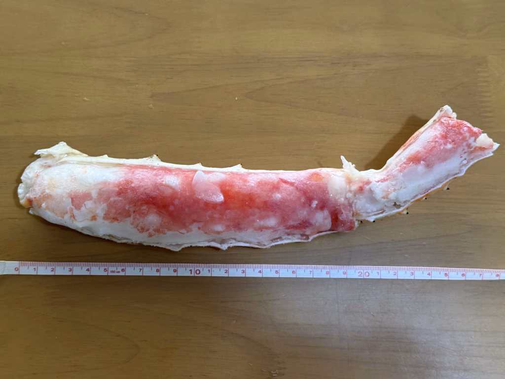 太脚の長さの画像