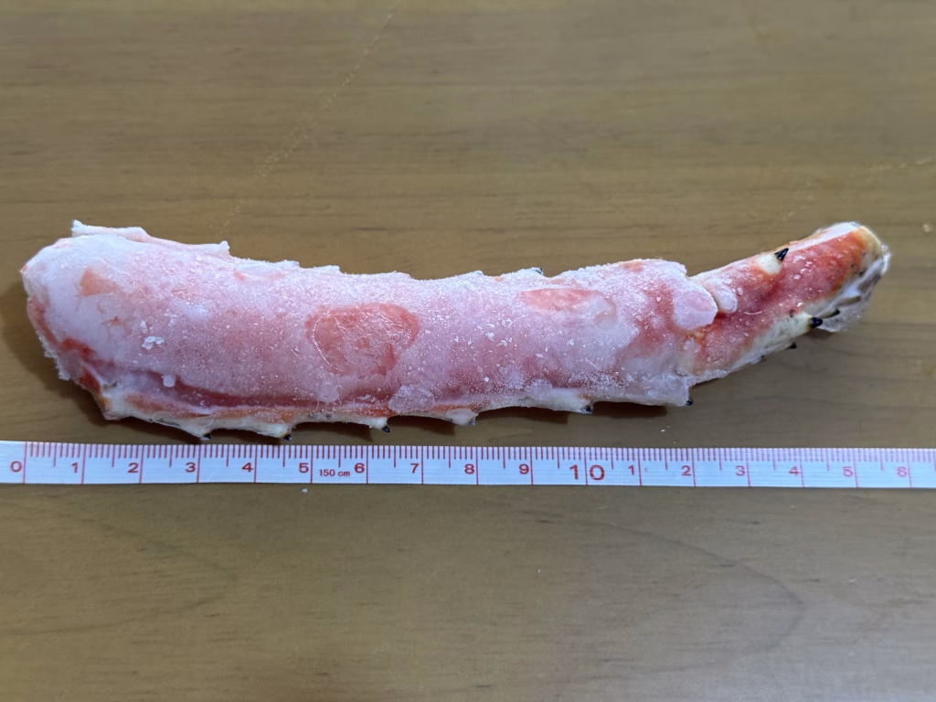 爪下の長さの画像