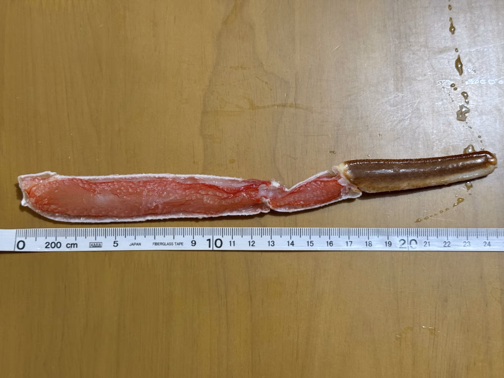 「釣りよかでしょう」コラボ商品のズワイガニの大きさを測っている画像